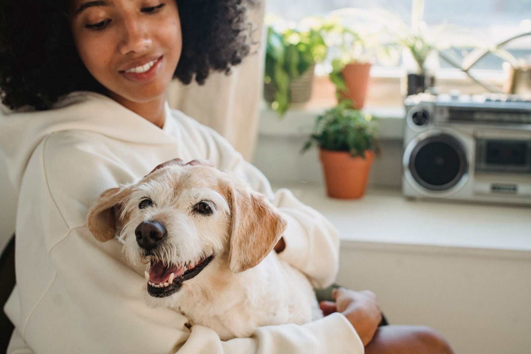 Femme câlinant son chien près d'une fenêtre
