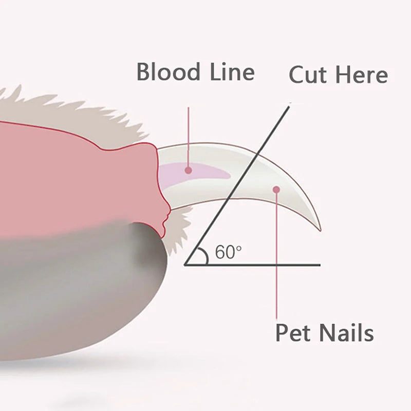 Coupe-griffes à LED pour chien et chat — vue 6