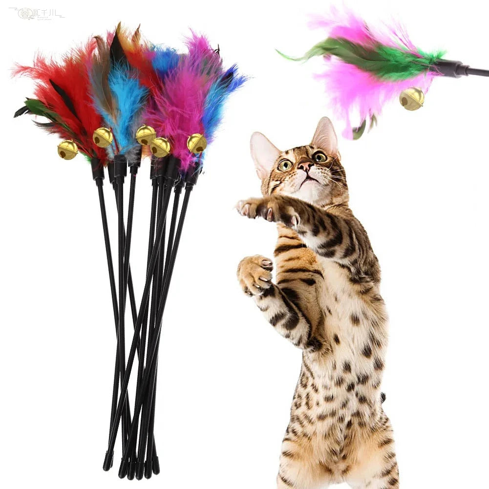 Lot de 5 baguettes à plumes pour chat
