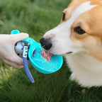 Gourde nomade en inox 285 ml avec bol pour chien