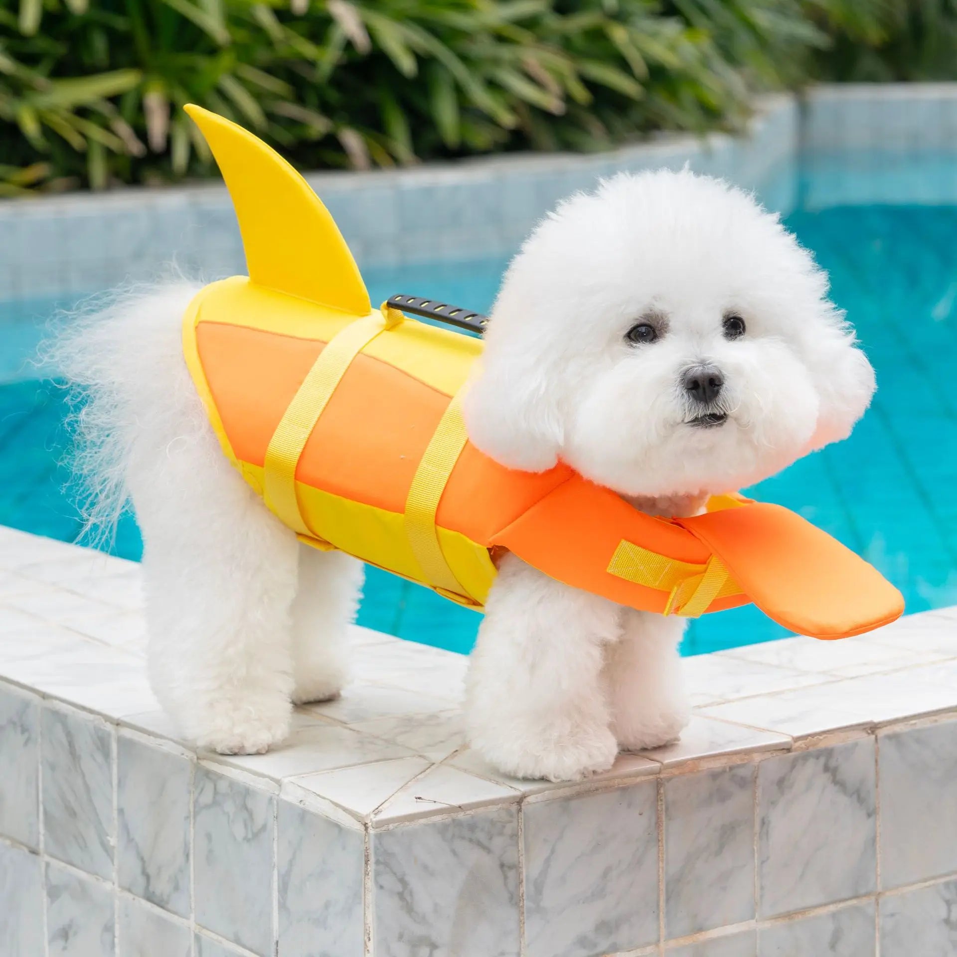 Gilet de sauvetage pour chien avec poignée dorsale