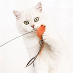 Oiseau sur perche à ventouse pour chat — vue 2