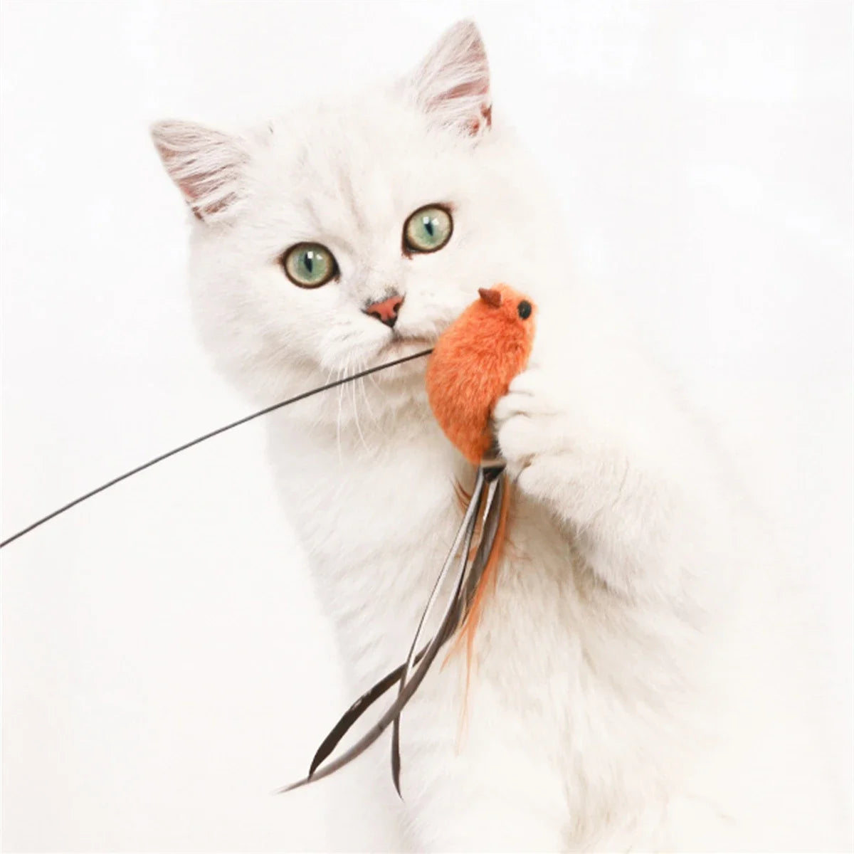 Oiseau sur perche à ventouse pour chat — vue 2