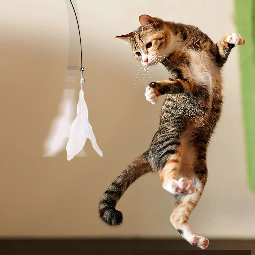 Perche à plumes géante sur ventouse pour chat — vue 2