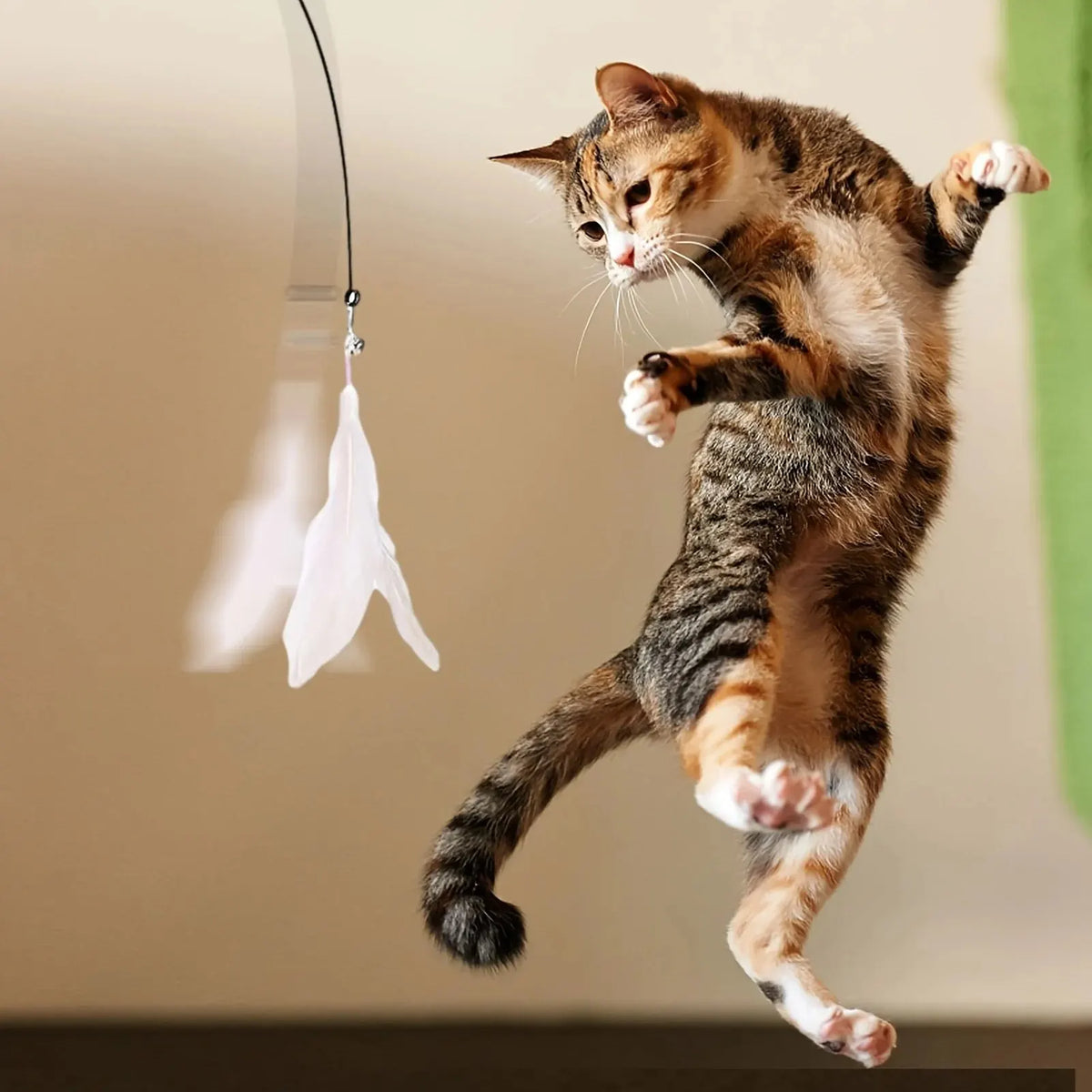 Perche à plumes géante sur ventouse pour chat — vue 2