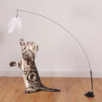 Canne à plumes sur ventouse pour chat