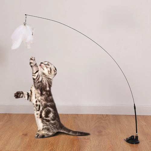 Canne à plumes sur ventouse pour chat