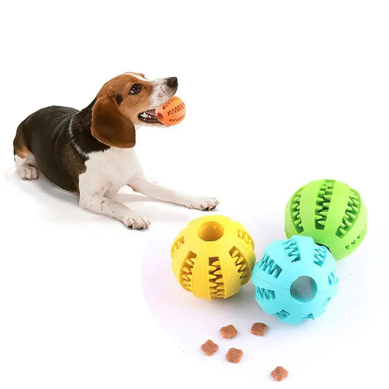 Balle de jeu distributrice de friandises pour chien et chat