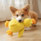 Peluche canard sonore pour chien et chat