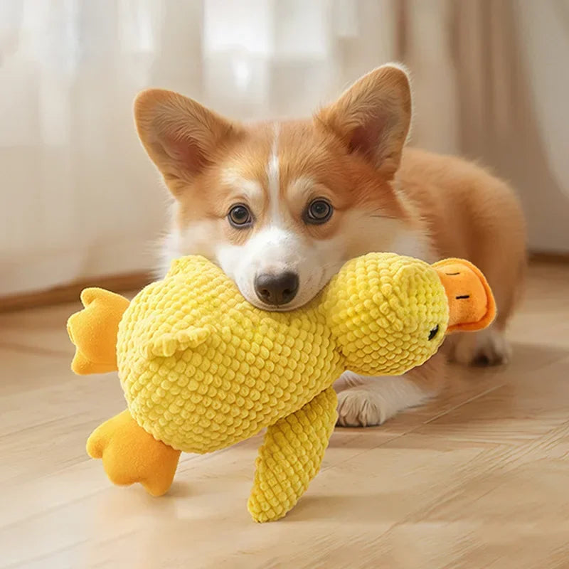 Peluche canard sonore pour chien et chat