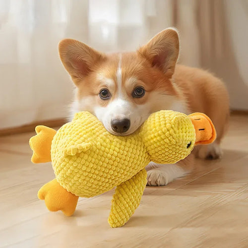 Peluche canard sonore pour chien et chat