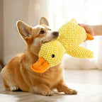 Peluche canard sonore pour chien et chat — vue 2