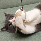 Baguette en bois avec grelot pour chat