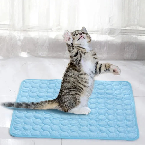 Tapis rafraîchissant pour chien et chat