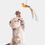 Oiseau sur perche à ventouse pour chat — vue 3