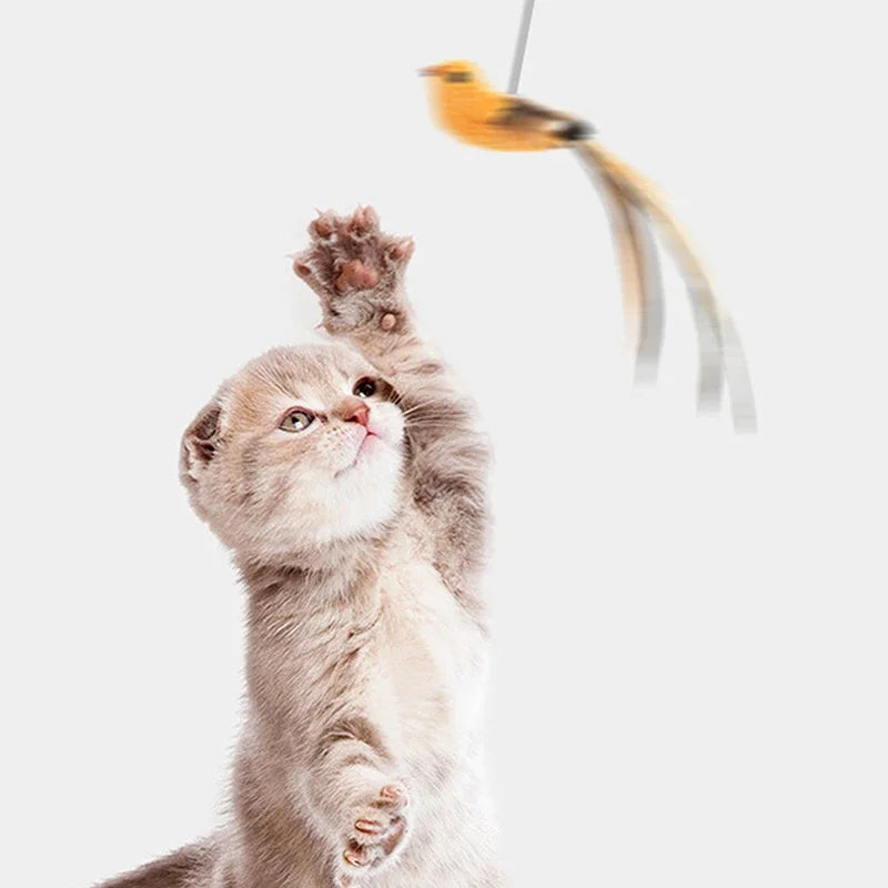 Oiseau sur perche à ventouse pour chat — vue 3