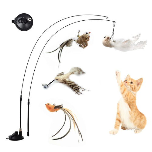 Oiseaux à suspendre sur ventouse pour chat