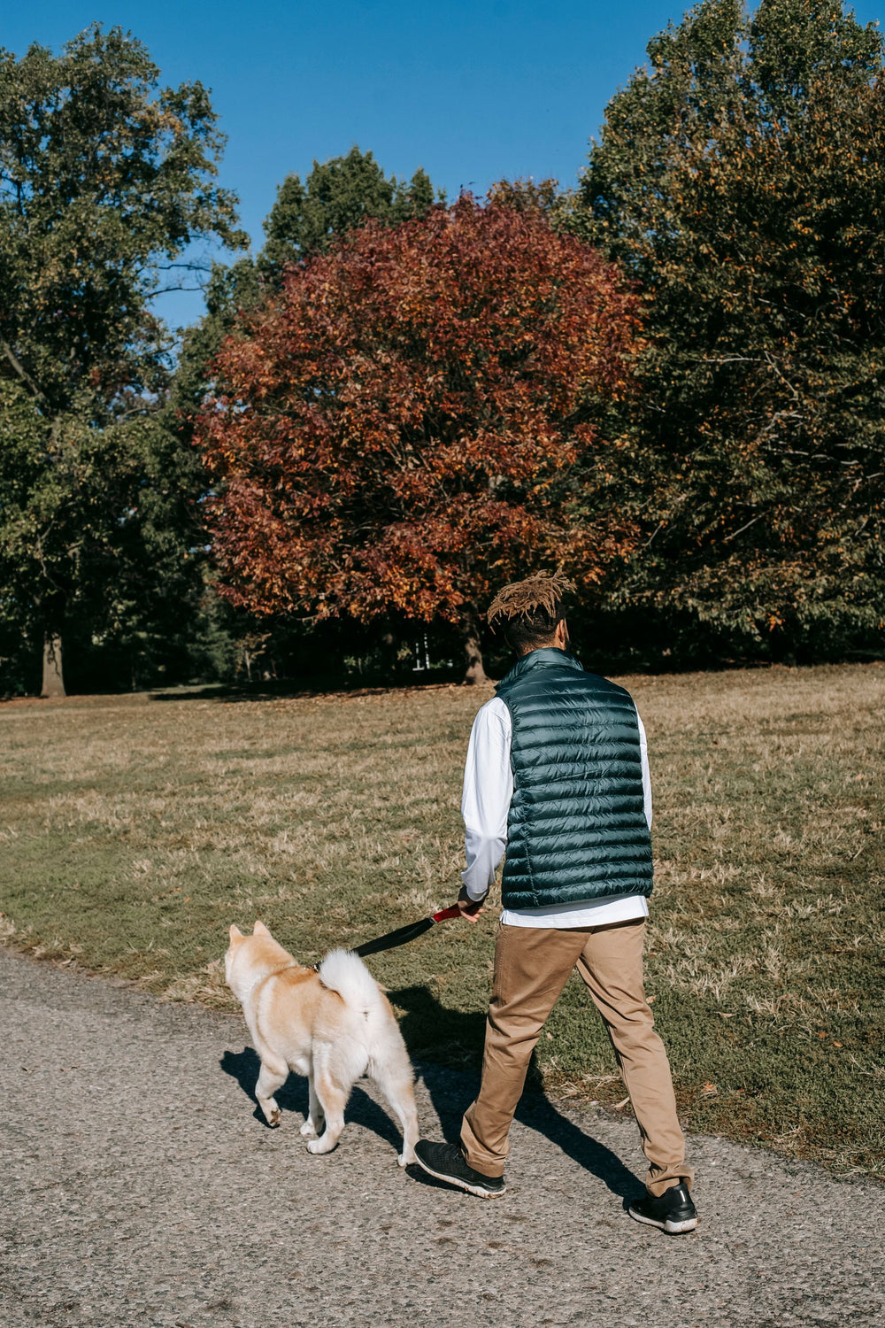 Promenade avec son chien en laisse dans un parc en automne