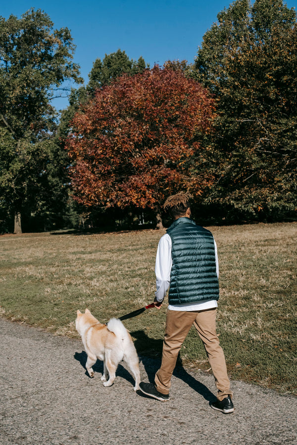 Promenade avec son chien en laisse dans un parc en automne